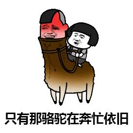 沙漠骆驼搞笑动态表情包图片