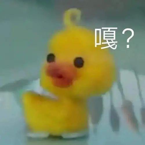 嘴巴嘟嘟的呆萌小黄鸭表情包图片