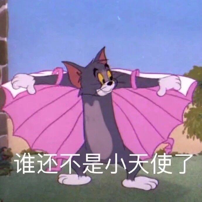 微信聊天专用的猫和老鼠汤姆表情包图片带字