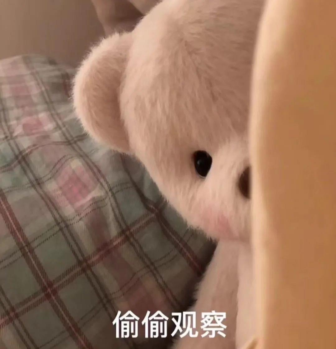可爱的玩偶熊表情包图片大全