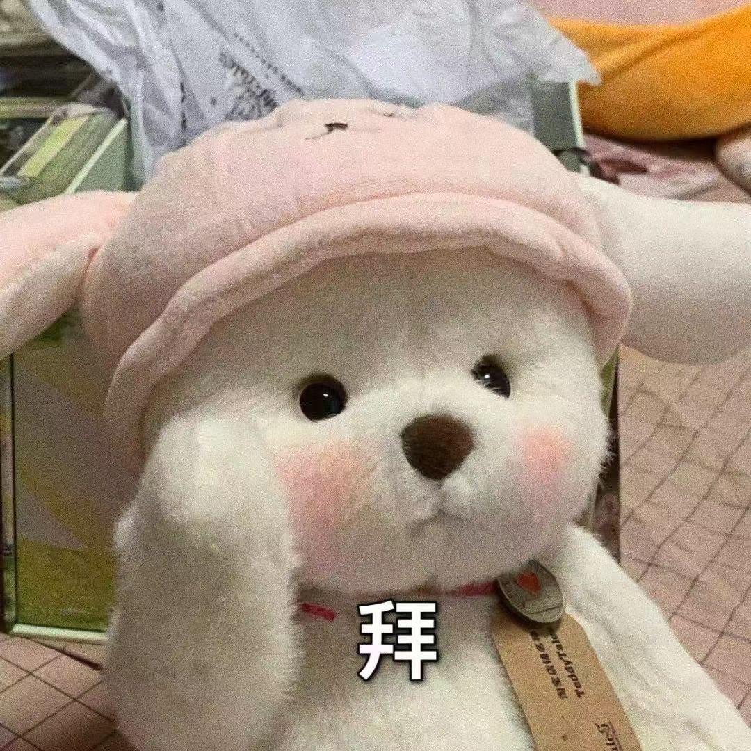 可爱的玩偶熊表情包图片大全
