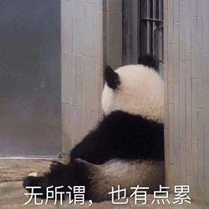 实用的动物文字表情包图片 动物表情包gif动态图