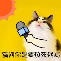 升温热夏天晒猫咪宠物GIF动图表情包图片
