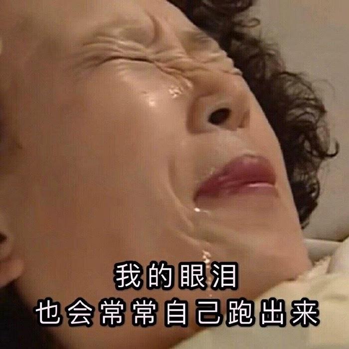 可爱的罗文姬女士表情包图片