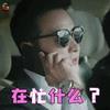 真爱的谎言之破冰者电视剧罗晋动态表情包图片