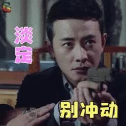 真爱的谎言之破冰者电视剧罗晋动态表情包图片