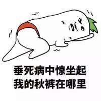 污力秋裤表情包图片
