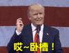 川普搞笑动态表情包图片