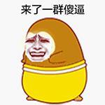 酷酷鸟恶搞表情包图片