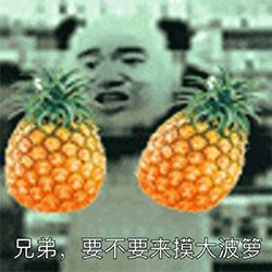 熊猫人动图表情包图片