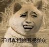 搞笑动图第五弹表情包图片