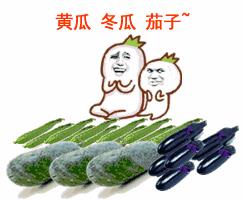 搞笑动图第十弹表情包图片