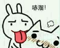 搞笑动图第Q弹表情包图片