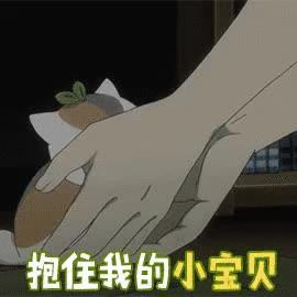 夏目友人帐猫咪老师动态表情包图片