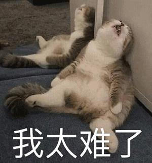各种我太难了的表情包图片
