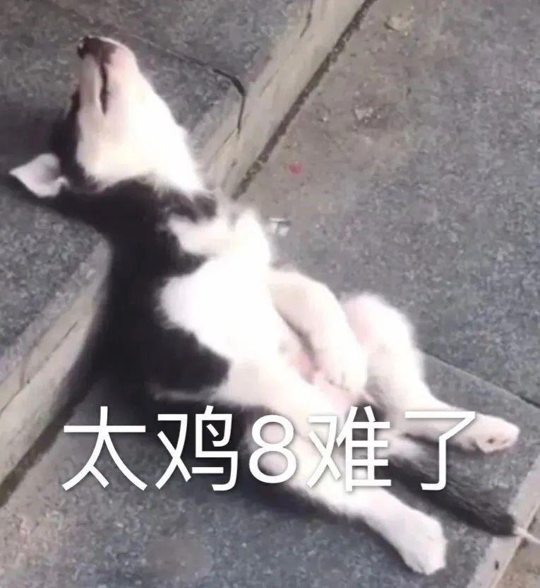 各种我太难了的表情包图片