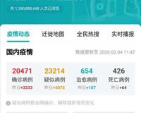 实时更新 新型冠状病毒肺炎疫情地图