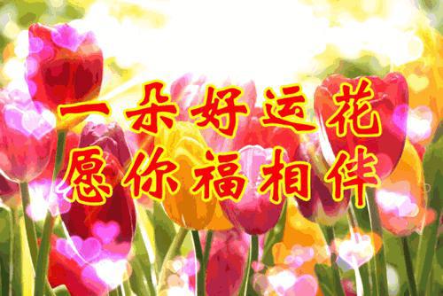 正月初十，十全十美日，双倍祝福送给你 大年初十祝福图片