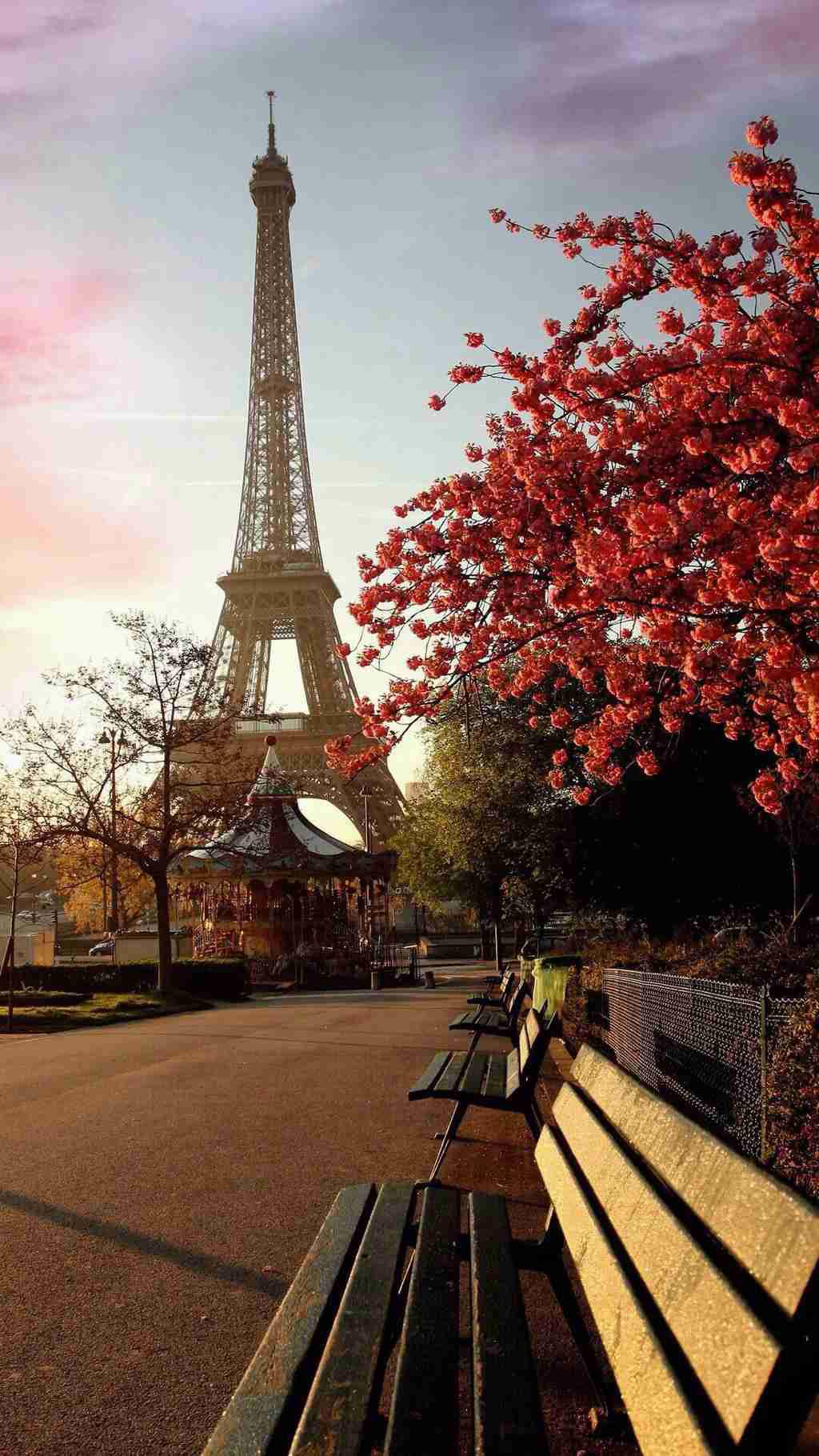 法国埃菲尔铁塔唯美风景图手机壁纸